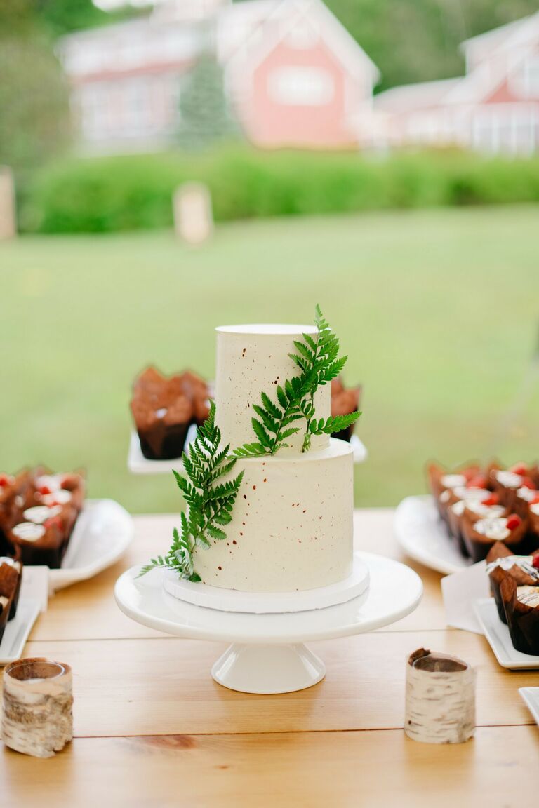 Rustic two-tier wedding cake with fern decorations