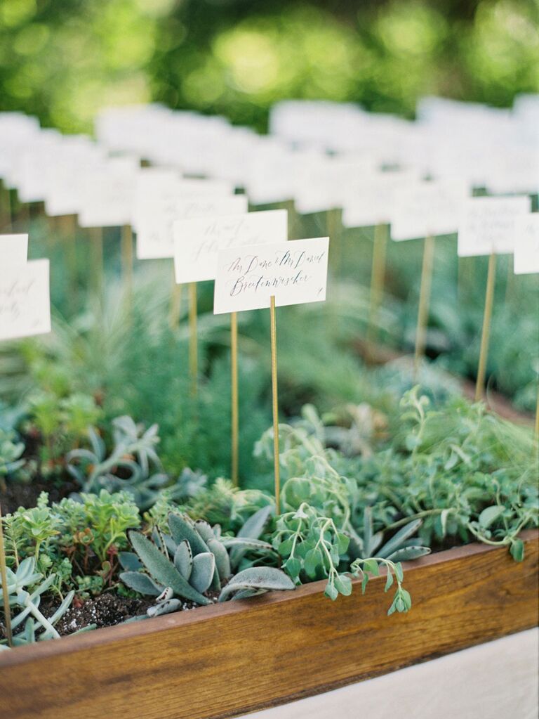 Terrarium greenery place cards at wedding reception