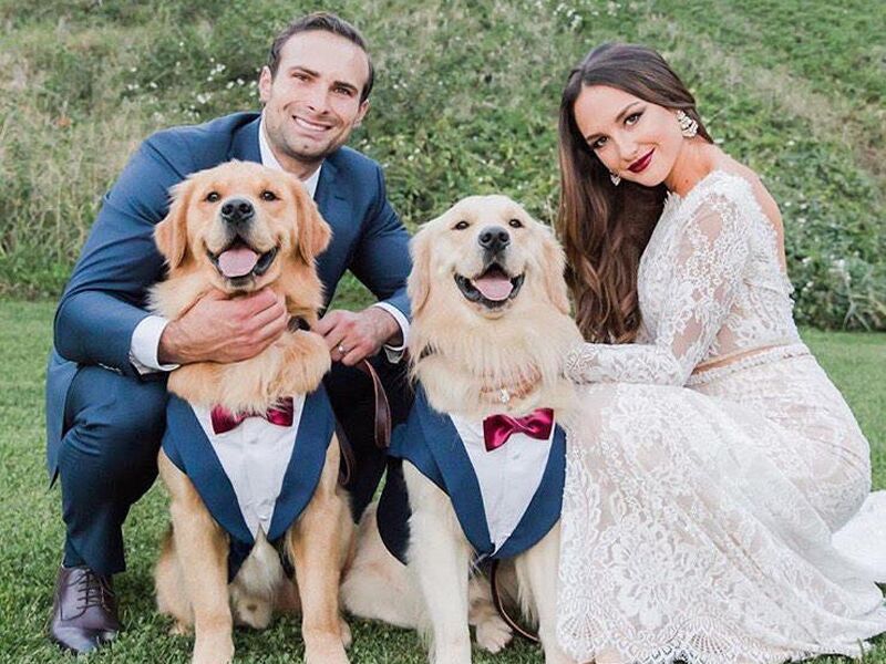 Dog Wedding Outfit Ideas Paw Fect For Your Pup