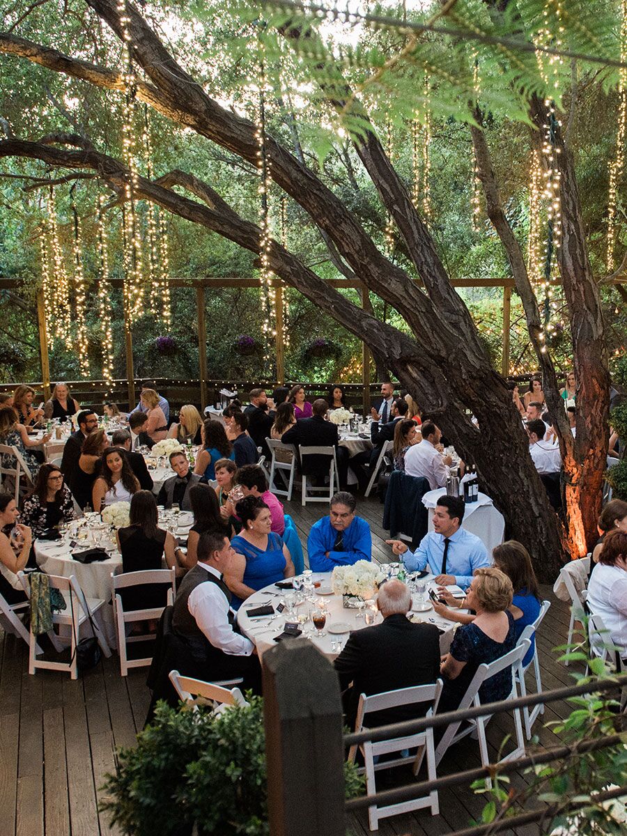 Outdoor hanging lights from oak trees