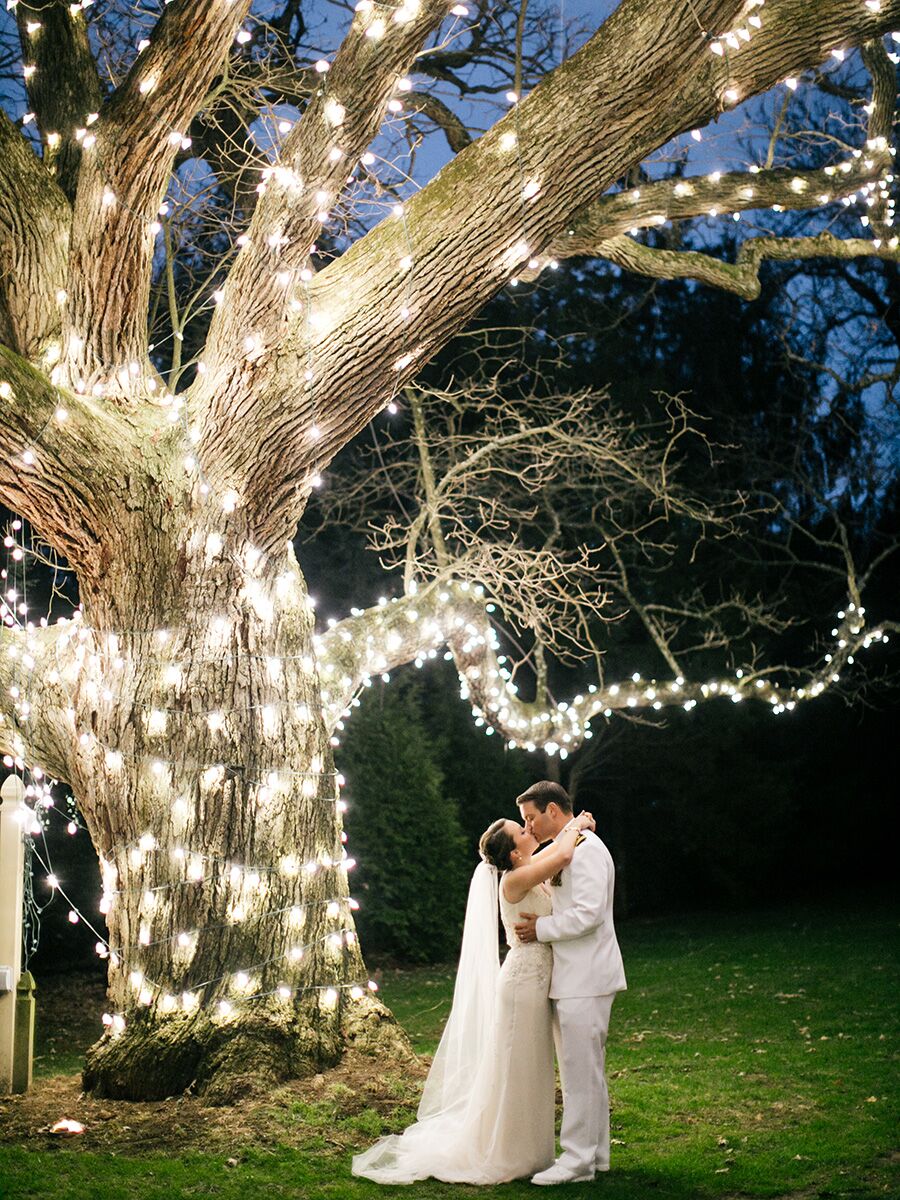 木の周りに包まれたロマンチックな結婚式の文字列ライト